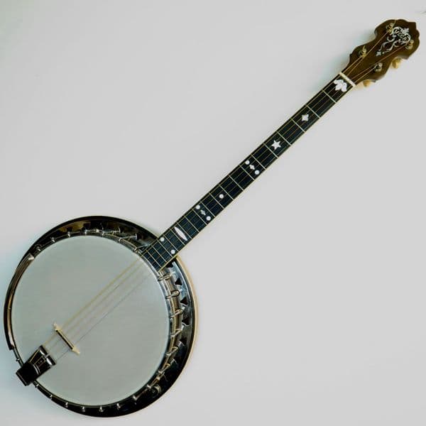 Vega Vegaphone Banjo-Irish tenor tuning|Brown Dog Banjos .