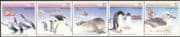 AAT 1988 Seals/ Penguins/ Dolphins/ Ship/ Birds/ Marine/ Nature/ Animals/ Helicopter 5v set ( b1978)