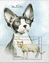 Afghanistan 1996 Cats / Pets / Animals m / s ref:b4290
