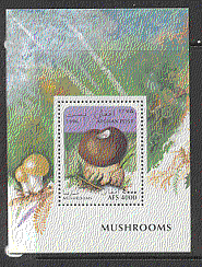 Afghanistan 1996 Fungi / Nature / Plants m / s (b5876)