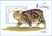 Afghanistan 1997 Cats/ Pets/ Domestic Animals 1v m/s (b4220)