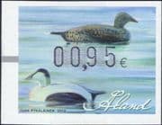 Aland 2012 Long-tailed Duck/ Decoys/ Hunting/ Ducks/ Birds/ Nature 1v Framas (af1044)