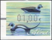 Aland 2013 Long-tailed Duck Decoys/ Hunting/ Ducks/ Birds/ Nature 1v Framas (af1028)