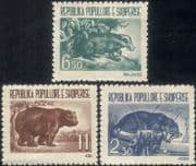 Albania 1961 Bear /Badger/ Otter/ Animals/ Nature/ Wildlife 3v set (n45005e)