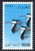 Algeria 1979 White Storks / Birds / Nature / Plane / Airmail 1v (n39313)