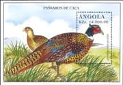Angola 1996 Ring-necked Pheasant/ Birds/ Nature/ Wildlife 1v m/s (b1574d)