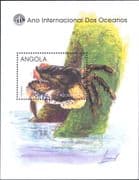 Angola 1998 YO Ocean/ Crab/ Goniopsis/ Marine Animals/ Nature 1v m/s (b4448r)