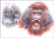 Angola 2000 Orangutan/ Apes/ Animals/ Wildlife/ Nature/ Conservation 1v m/s (s3470p)
