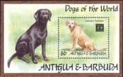 Antigua 1994 Labrador/ YO Dog/ Animals/ Pets/ Nature/ Zodiac/ Fortune 1v m/s (b674r)