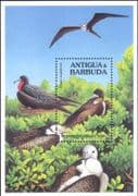 Antigua 1994 Magnificent Frigate Bird/ Birds/ Nature/ Wildlife 1v m/s (b4320p)