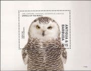 Antigua 2017 Snowy Owl/ Owls/ Raptors/ Birds/ Nature/ Wildlife 1v m/s (s2695a)