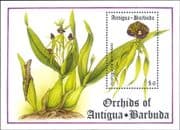 Antigua & Barbuda 1994 Orchids/ Nature/ Flowers/ Plants 1v m/s (b5311w)