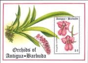 Antigua & Barbuda 1994 Orchids/ Nature/ Flowers/ Plants 1v m/s (b5311x)