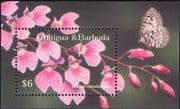 Antigua & Barbuda 2002 Orchid/ Flowers/ Nature/ Plants/ Orchids 1v m/s (b4525b)