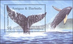Antigua & Barbuda 2002  Whales/ Marine Animals/ Nature/ Wildlife  1v m/s  (b5640d)