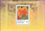 Antigua & Barbuda 2007 Flowers/ Plants/ Nature/ Peacock Flower 1v m/s (b9427h)