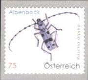 Austria 2009 Longhorn Beetle/ Insects/ Nature/ Wildlife / Beetles 1v s/a (at1253a)