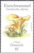 Austria 2020 Chanterelle/ Edible Fungi/ Mushrooms/ Plants/ Nature 1v (at1174a)