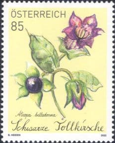 Austria 2022  Deadly Nightshade/ Belladonna/ Flowers/ Plants/ Nature  1v  (at1294a)