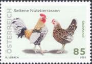 Austria 2022 Steinhendl Chickens/ Rooster/ Birds/ Farming/ Nature 1v (at1273a)