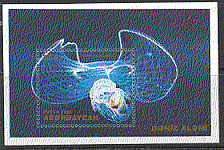 Azerbaijan 1995 Sea Butterfly / Molluscs / Marine Animals / Nature 1v m / s (b9675)
