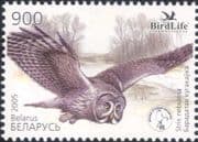 Belarus 2005 Great Grey Owl/ Owls/ Nature/ Wildlife/ Birds/ Conservation 1v (n15656)