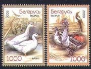 Belarus 2009 Birds / Geese / Ducks / Nature 2v set (n26617)