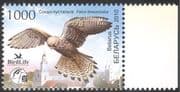 Belarus 2010 Birds/ Nature/ Raptors/ Kestrel/ Wildlife/ Conservation/ Environjment 1v (n28434)
