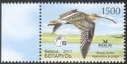 Belarus 2011 Curlew/ Birds/ Nature/ Wildlife/ Conservation/ Environment 1v (n32350)