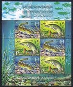 Belarus 2011 Fish / Pike / Burbot / Nature / Angling / Sport / Fishing 6v sht (n33096)