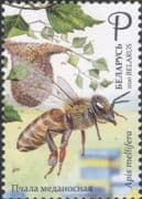 Belarus 2020 Honey Bees/ Insects/ Nature/ Conservation/ Environment 1v (n46407)