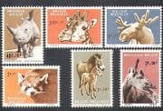 Belgium 1961 Rhino / Giraffe / Panda / Horse / Animals / Zoo / Fund / Nature 6v set (n37698)