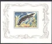 Belgium 1965 Turtle / Antwerp Zoo / Animals / Reptiles / Nature / Wildlife 1v m / s (n37697)