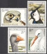 Belgium 1972 Kestrel/ Hawk/ Stork/ Goose/ Lapwing/ Birds/ Raptors/ Nature 4v set (b2835)