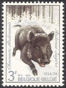 Belgium 1974 Wild Boar/ Animals/ Nature/ Wildlife/ Hunting/ Military 1v (n43315)