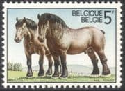 Belgium 1976 Ardennes Draught Horses/ Working Animals/ Nature/ Transport 1v (s5705d)