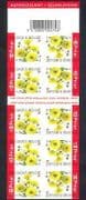 Belgium 2005 Chrysanthemum / Flowers / Plants / Nature 10v s / a bklt (n38332)