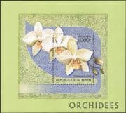 Benin 1997 Orchids/ Flowers/ Plants/ Nature 1v m/s (b4236)