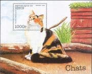 Benin 1998 Domestic Cats/ Pets/ Animals/ Nature 1v m/s (b6447)
