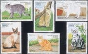 Benin 1998 Domestic Cats/ Pets/ Animals/ Nature 6v set (b5724)