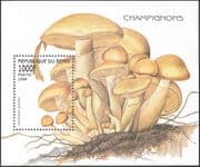 Benin 1998 Fungi/ Mushrooms/ Plants/ Nature 1v m/s (b4231)