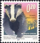 Bosnia 2009 Badger/ Animals/ Wildlife/ Nature/ Conservation/ Badgers 1v (bhs1029)