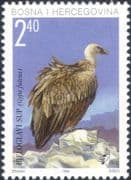 Bosnia & Herzegovina 1998 Griffon Vulture/ Birds of Prey/ Nature/ Wildlife 1v (b137v)