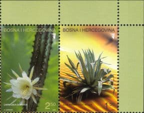 Bosnia Herzegovina 2004  Cactus/ Cacti/ Flowers/ Succulents/ Plants/ Nature  2v set pr  (n44346a)