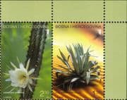 Bosnia Herzegovina 2004 Cactus/ Cacti/ Flowers/ Succulents/ Plants/ Nature 2v set pr (n44346a)