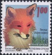 Bosnia & Herzegovina 2009 Red Fox/Animals/ Wildlife/ Nature/ Conservation/ Foxes 1v (bhs1035)