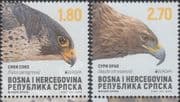 Bosnia & Herzegovina 2019 Europa/ Eagle/ Falcon/ Raptors/ Birds/ Nature/ Wildlife 2v set (b137t)