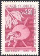 Brazil 1957 City of Ribeirao Preto 100th/ Coffee Beans/ Nature/ Emblem/ Sculpture/ Art/ Drink 1v (n44133)