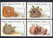 British Antarctic Territory 1989 Lichens / Nature / Flora / Fauna 4v set (n35146)