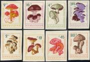 Bulgaria 1961 Fungi/ Mushrooms/ Plants/ Nature IMPERFORATE 8v set (b2237)